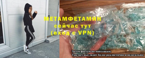 трава Корсаков