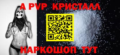 амф Сланцы