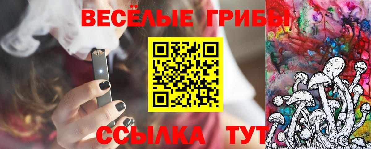 Галлюциногенные грибы Psilocybe Симферополь