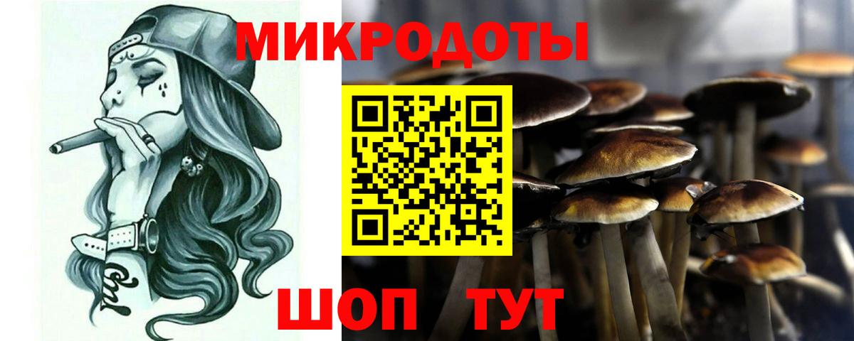 Псилоцибиновые грибы Psilocybe  купить наркоту  Симферополь  Вход с VPN 